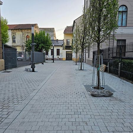 Muzeului Studio Cluj-Napoca Exterior foto